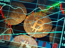 Investasi Aset Kripto