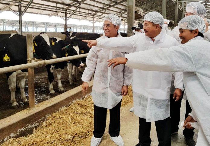 Tantangan Industri Pengolahan Susu Nasional: Ketergantungan Impor dan Kendala Peternakan Sapi Perah Tantangan Industri