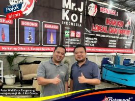 Ikan Koi Tangerang