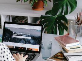 Potensi Bisnis Online