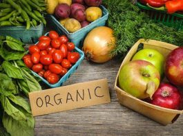 Produk Organik