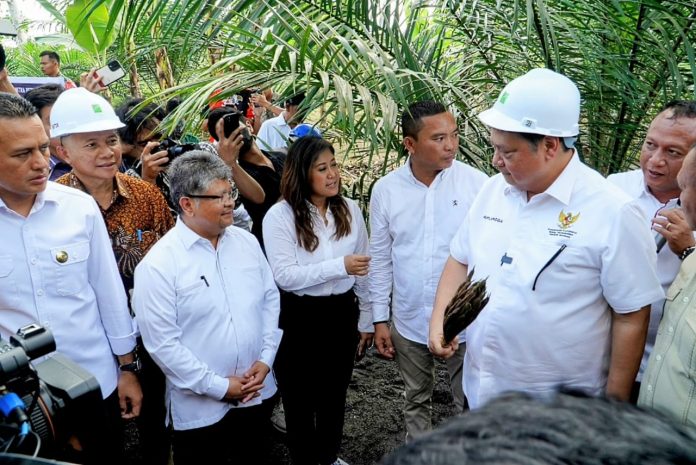 Program Peremajaan Sawit Rakyat: Peningkatan Produktivitas dan Kualitas Produk Kelapa Sawit Indonesia Peremajaan Sawit Rakyat