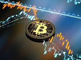 Mendekati Rekor Tertinggi: Bitcoin Melonjak, Tembus Hingga Rp892 Juta