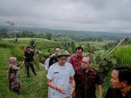 Masa Depan Subak Bali: Langkah UNESCO untuk Melestarikan Warisan Budaya