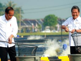 Manfaatkan Potensi Pantura, Presiden Jokowi Resmikan Kawasan Tambak Nila Salin