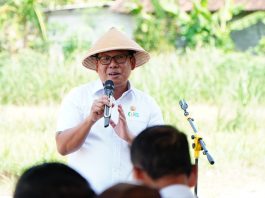 Komponen Harga Bergejolak Turun, Inflasi Juni 2024 Terkendali
