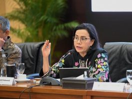 Meski Kontraksi 4,3%, Penerimaan Negara Juli 2024 Tetap Menunjukkan Tren Positif