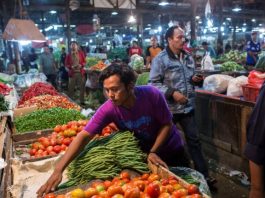 Daya Beli Meningkat, Inflasi Pangan Turun Signifikan di Juli 2024