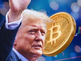 Harga Bitcoin Melejit, Siap-Siap Sambut Reli Panjang Hingga 2025