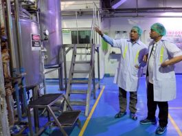 Pasokan Susu Lokal Jadi Kunci Sukses Program Makan Bergizi Gratis 2025