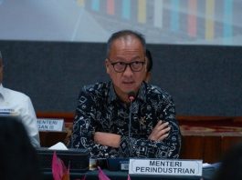 Dampak Kenaikan Tarif PPN, Minyak Goreng hingga Mobil Listrik Dapat Insentif
