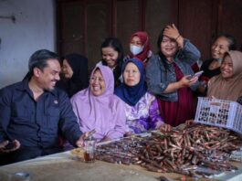 Cerutu Temanggung Tak Kalah dari Produk Impor, Pemerintah Siap Bantu Promosi!