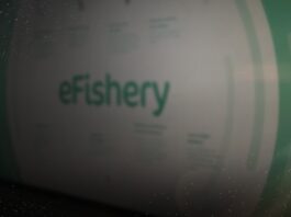eFishery Guncang Ekosistem Startup Indonesia, Kepercayaan Investor Terancam