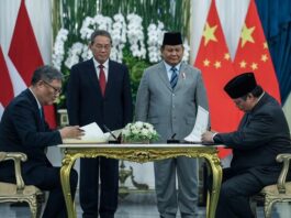 Pererat Hubungan Indonesia dan China, Proyek Batang–Bintan Dikembangkan Seperti Shenzhen
