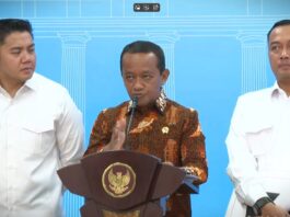 Empat Izin Pertambangan Dicabut, PT GAG Nikel Lolos karena Punya RKAB 2025