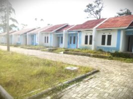 Masih Bingung Pilih KPR atau Ngontrak Rumah? Begini Cara Menentukannya