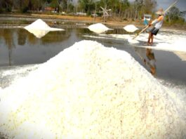 Industri Kertas Tumbuh, Tapi Terbebani Garam Industri Berkualitas Rendah