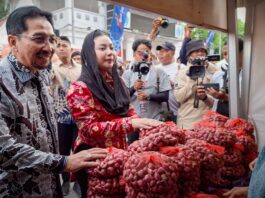 Dari Ladang ke Pasar Ekspor, Festival Bawang Merah Brebes Angkat Martabat Petani