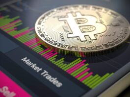 Mau Coba Kripto? Ini Ilmu yang Wajib Dikuasai Biar Nggak Boncos