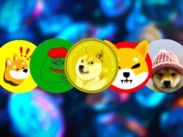 Memahami Apa Itu Memecoin, Kripto Paling Spekulatif tapi Menggiurkan!