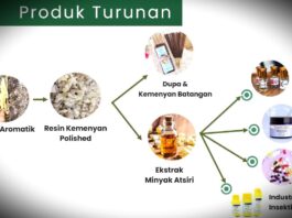 Pengembangan Minyak Atsiri Jadi Jalan Baru Hilirisasi Sumber Daya Alam Indonesia