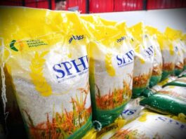 Pemerintah Tegas: Harga Beras Harus Turun, Stok Nasional di Titik Tertinggi