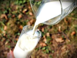 Produksi Susu UHT Diperkuat, Industri Susu Nasional Siap Dukung Program MBG