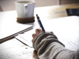 Mau Langsung Gaji Besar? Kenali Pekerjaan untuk Fresh Graduate yang Potensial