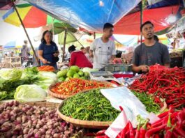 Stok Aman dan Distribusi Diperkuat, Stabilitas Pangan Ramadan Dinilai Efektif