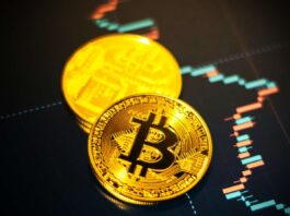 Jangan Asal Beli, Ini Cara Trading Kripto yang Aman untuk Pemula