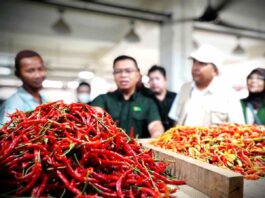 Fluktuasi Harga Pangan Menurun Pasca-Lebaran, Antisipasi Iduladha Dipercepat