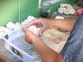 Kenaikan Harga Plastik Tekan Perajin Tempe dan Tahu, Produksi Terancam!
