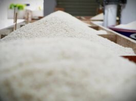 Kewajaran Harga Beras Dinilai Kunci Stabilitas Pangan Nasional dan Perlindungan Petani