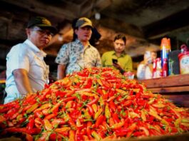 Stok Cabai Rawit Nasional Membaik, Tekanan Inflasi Pangan Mulai Mereda
