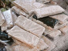 Subsidi Kedelai Diharapkan Jaga Daya Beli dan Stabilitas Harga Tempe