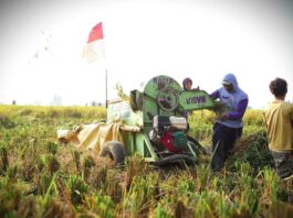 Antisipasi Musim Kemarau, Bapanas Optimistis Stok Pangan Cukup hingga Tahun Depan