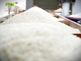 BPS Ungkap Perkembangan Harga Beras Mulai Membaik, Daerah Terdampak Semakin Berkurang