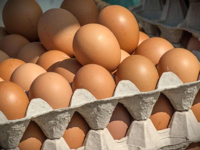 Harga Telur Ayam Rp29.400, Harga Cabai dan Bawang Masih Tinggi