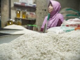 Harga Beras Masih Jadi Sorotan, Beras Kualitas Super Capai Rp17.700 per Kg