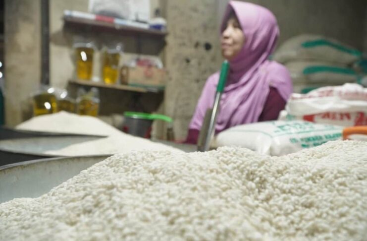 Harga Beras Masih Jadi Sorotan, Beras Kualitas Super Capai Rp17.700 per Kg