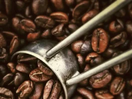 Ekspor Kopi ke Australia Buka Peluang Petani Lokal Masuk Rantai Pasok Global